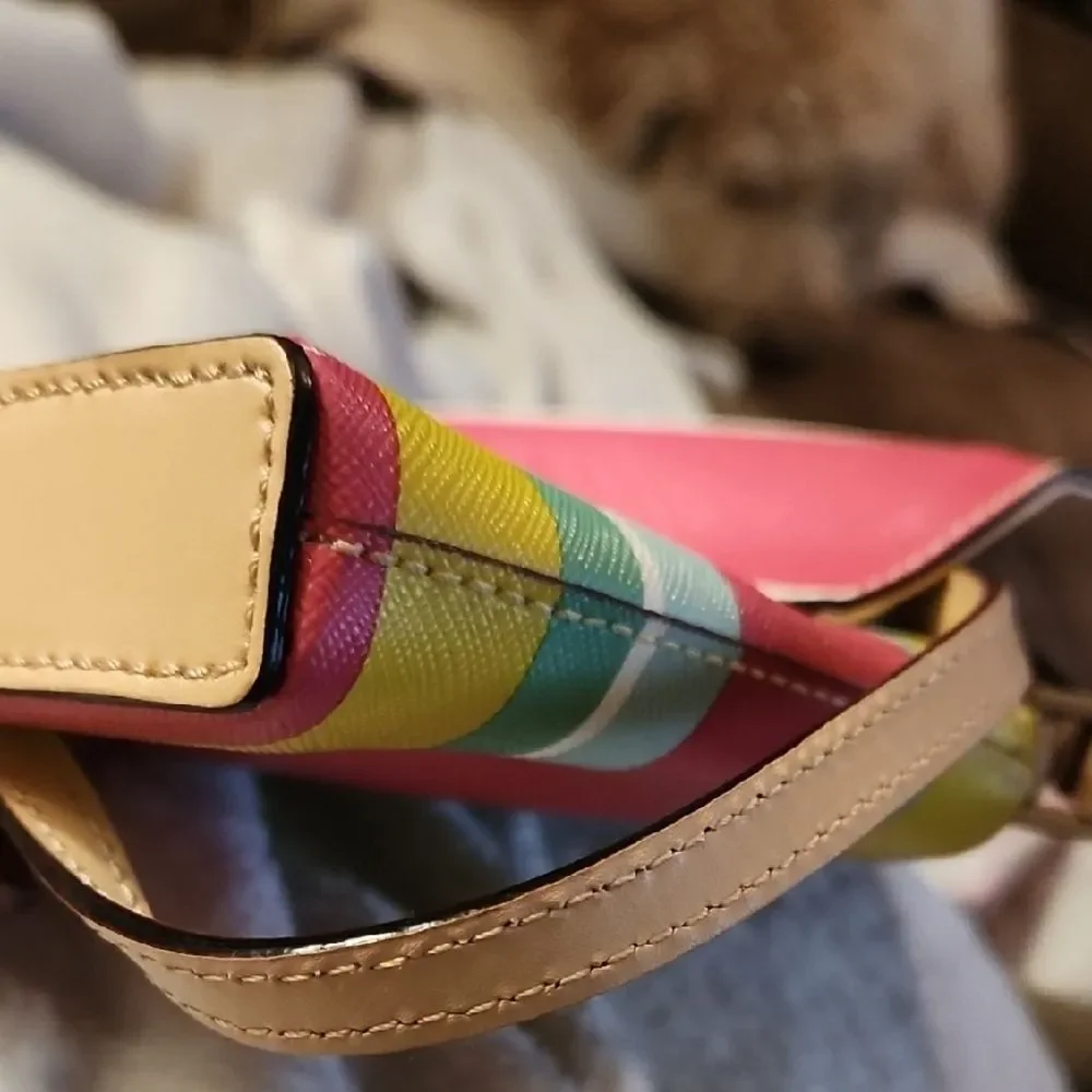 Kate Spade Colorful Striped Crossbody Bag